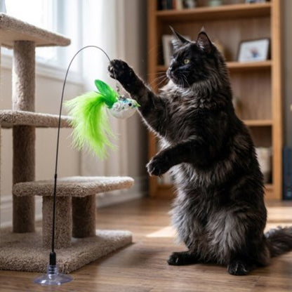 jeu pour chat canne a peche oiseau vert