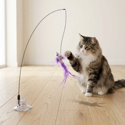 jeu pour chat canne a peche oiseau violet
