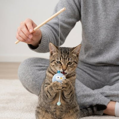 jeu pour chat canne peche peluche bleu chat attrapant