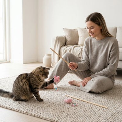 jeu pour chat canne peche peluche rose maitresse chat