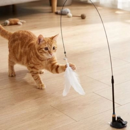 jeu pour chat canne peche plumes blanche chat jouant
