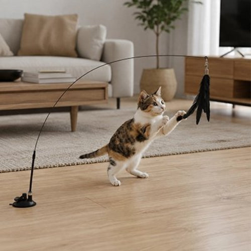 jeu pour chat canne peche plumes noir chat sautant