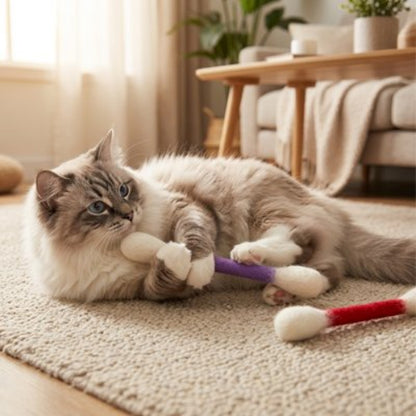 jeu pour chat coton tige multicolore chat attrapant