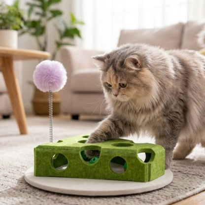 jeu pour chat fromage vert chat jouant salon