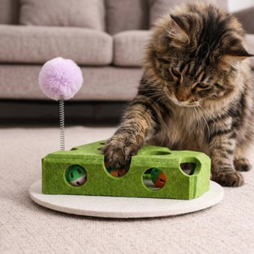jeu pour chat fromage vert chat jouant