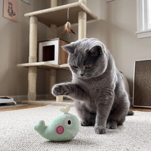 jeu pour chat peluche interactive baleine avec chat