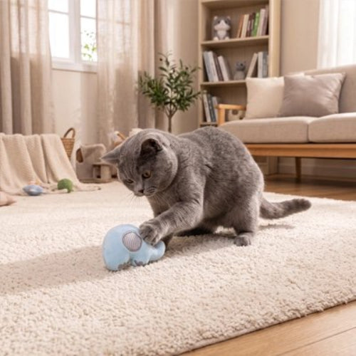 jeu pour chat peluche interactive elephant avec chat