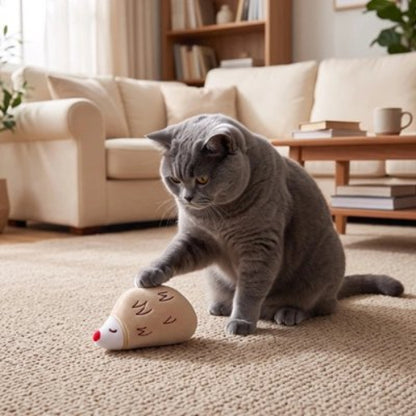 jeu pour chat peluche interactive herisson chat attrapant