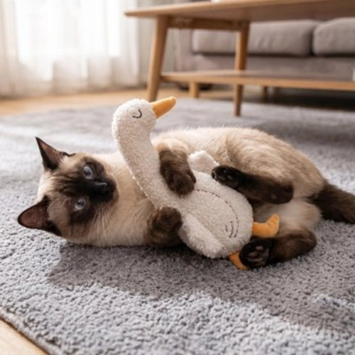 jeu pour chat peluche ludique canard chat attrapant