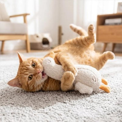 jeu pour chat peluche ludique canard chat mordant