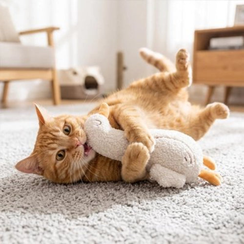 jeu pour chat peluche ludique canard chat mordant