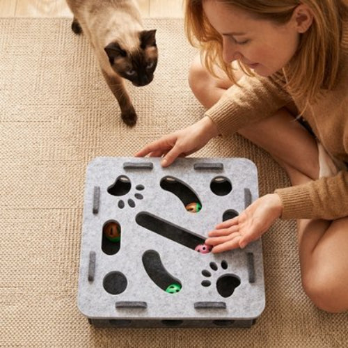 jeu pour chat plateau interactif maitresse chat debout