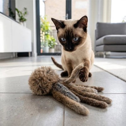 jeu pour chat poulpe avec chat