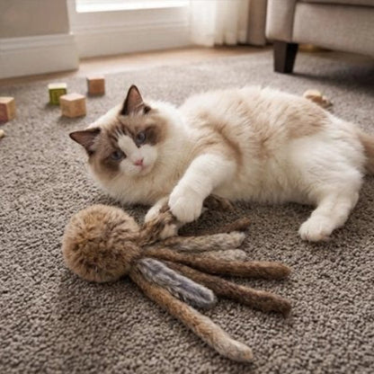 jeu pour chat poulpe chat attrapant salon