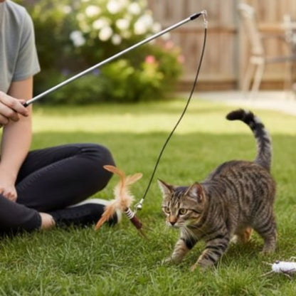 jeux chat canne a peche avec insecte marron jardin