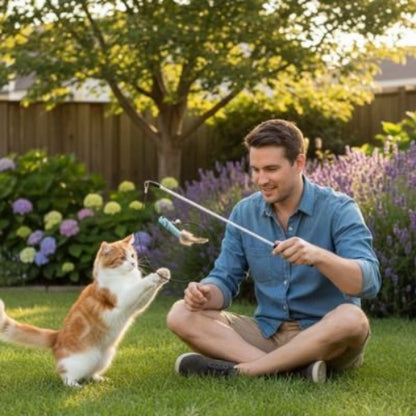 jeux chat canne a peche insecte bleu jardin maitre
