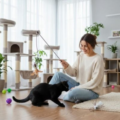 jeux chat canne a peche insecte marron maitresse salon