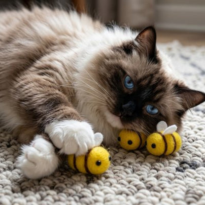jeux pour chat abeilles chat apaise