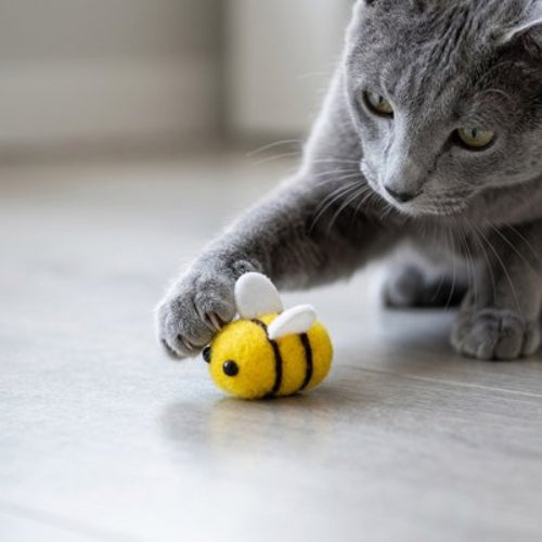 jeux pour chat abeilles chat jouant