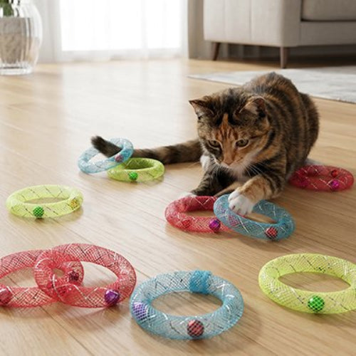 jeux pour chat anneaux multicolores chat allonge salon