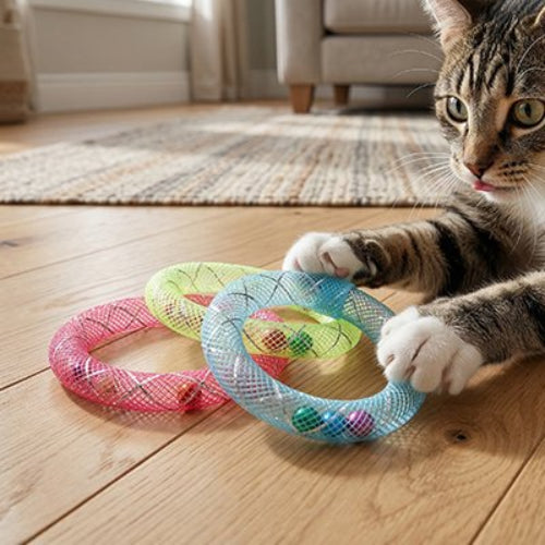 jeux pour chat anneaux multicolores chat jouant