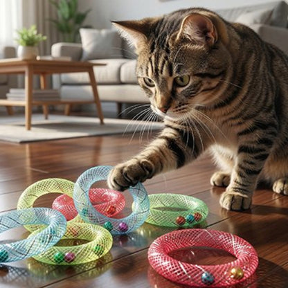 jeux pour chat anneaux multicolores salon chat jouant