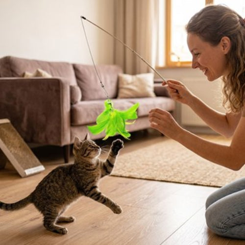 jeux pour chat canne a peche maitresse chat debout