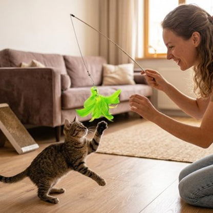 jeux pour chat canne a peche maitresse chat debout