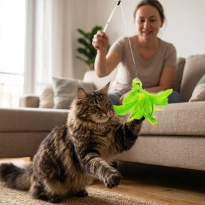 jeux pour chat canne a peche plume verte maitresse