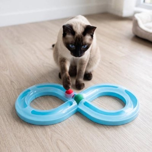 jeux pour chat circuit chat assis