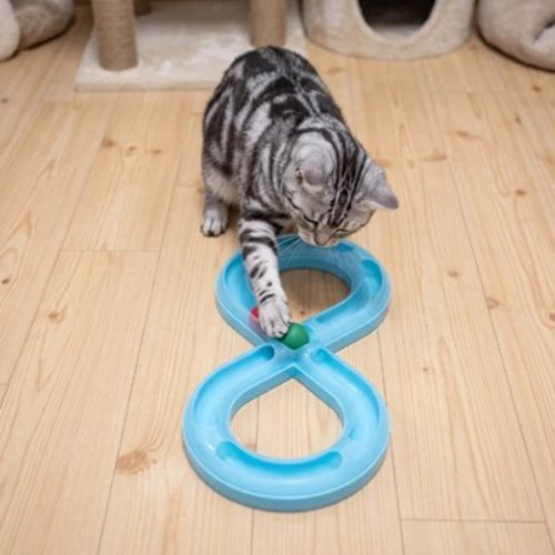 jeux pour chat circuit chat jouant
