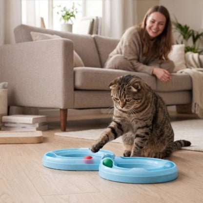 jeux pour chat circuit maitresse chat jouant salon
