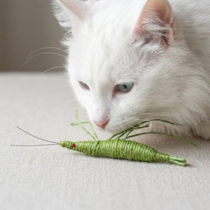 jeux pour chat crevette verte avec chat