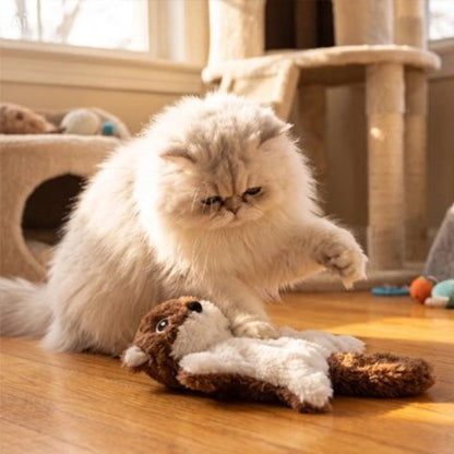 jeux pour chat ecureuil brun chat jouant
