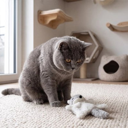 jeux pour chat ecureuil gris chat assis