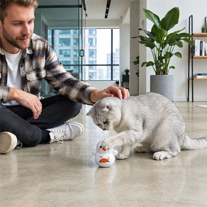 jeux pour chat figurines autoroulantes maitre chat attrapant