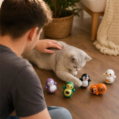 jeux pour chat figurines autoroulantes maitre chat jouant