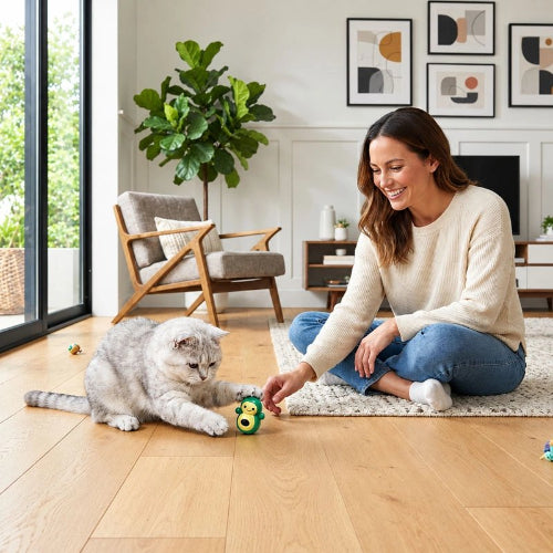 jeux pour chat figurines autoroulantes maitresse chat jouant