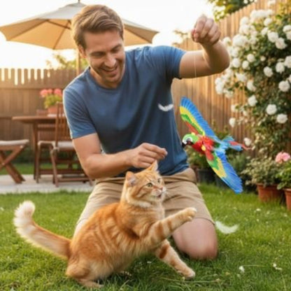 jeux pour chat perroquet maitre jardin chat jouant