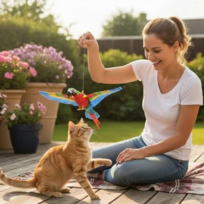 jeux pour chat perroquet maitresse chat assis jardin
