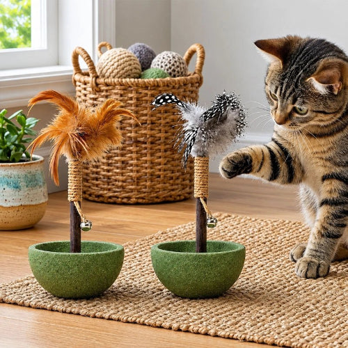 jeux pour chat plante miniature plumes marron noir