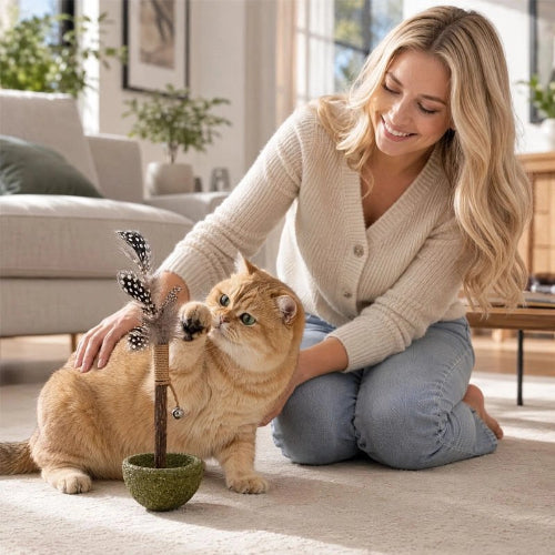 jeux pour chat plante miniature plumes noir maitresse chat