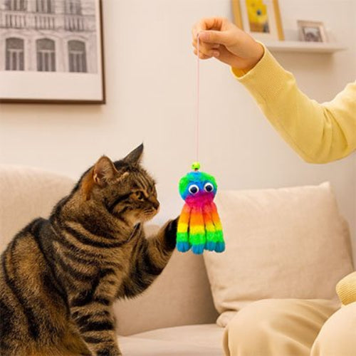 jeux pour chat poulpe arc en ciel chat jouant