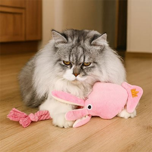 jeux pour chat poulpe sonore chat allonge
