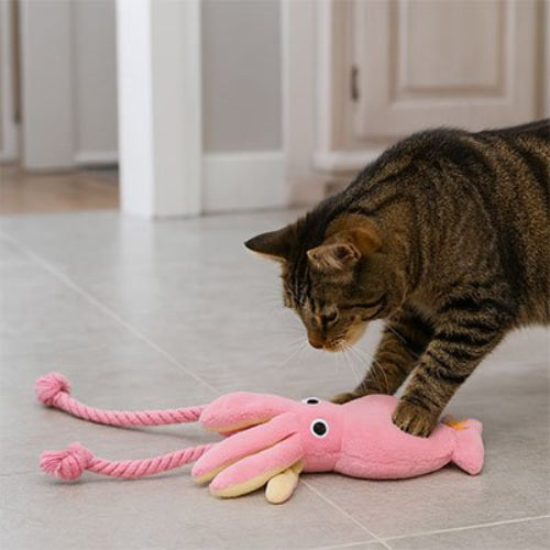 jeux pour chat poulpe sonore chat debout