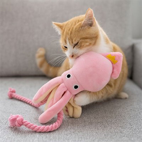 jeux pour chat poulpe sonore