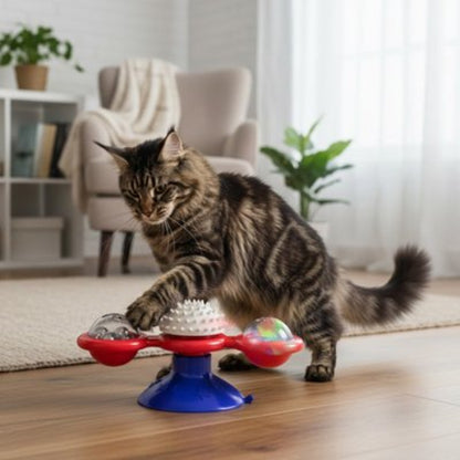 jeux pour chat rotatif bleu salon chat jouant