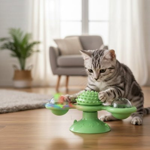 jeux pour chat rotatif vert chat jouant salon