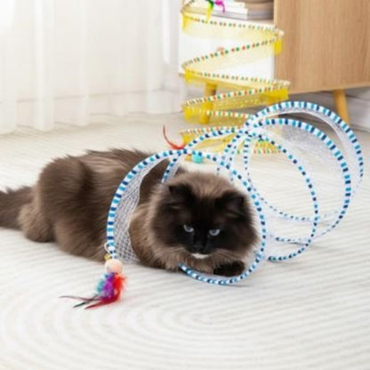 jeux pour chat spirale transparente chat allonge