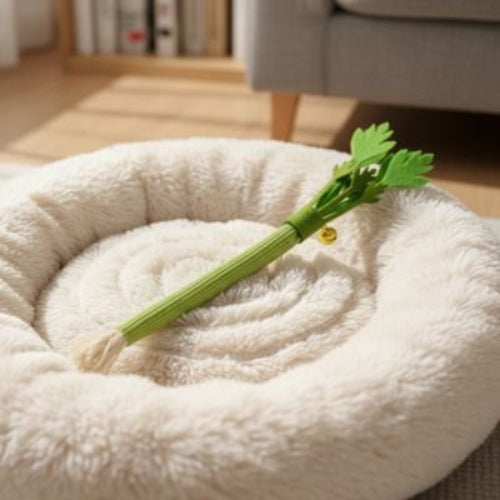 jeux pour chat tige celeri coussin